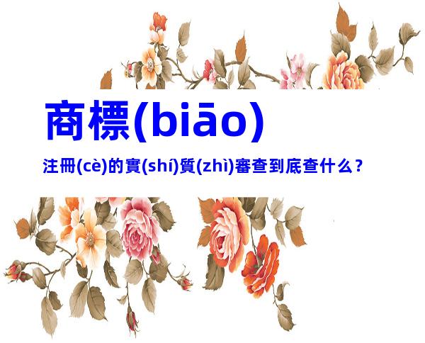 商標(biāo)注冊(cè)的實(shí)質(zhì)審查到底查什么？