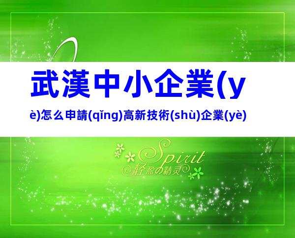 武漢中小企業(yè)怎么申請(qǐng)高新技術(shù)企業(yè)