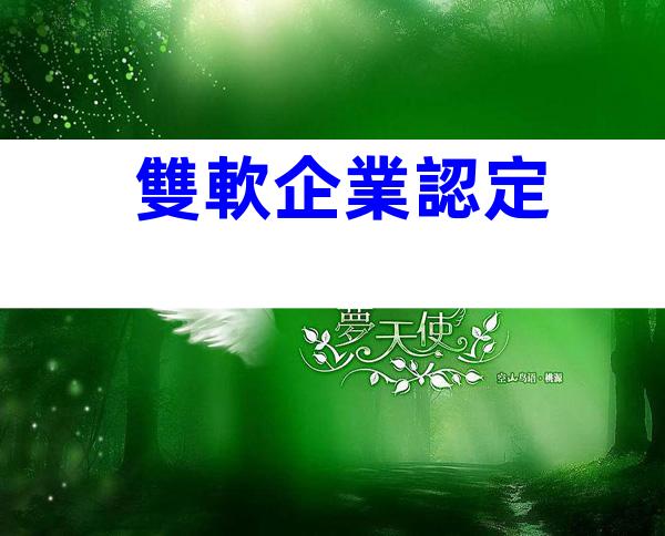 雙軟企業認定